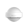 rg-rap6262g-wifi-6-outdoor-access-point اكسس بوينت خارجي Ruijie RG-RAP6262(G)