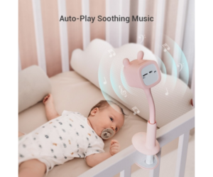 كاميرا EZVIZ BM1 بينك